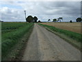 Metheringham Fen Lane