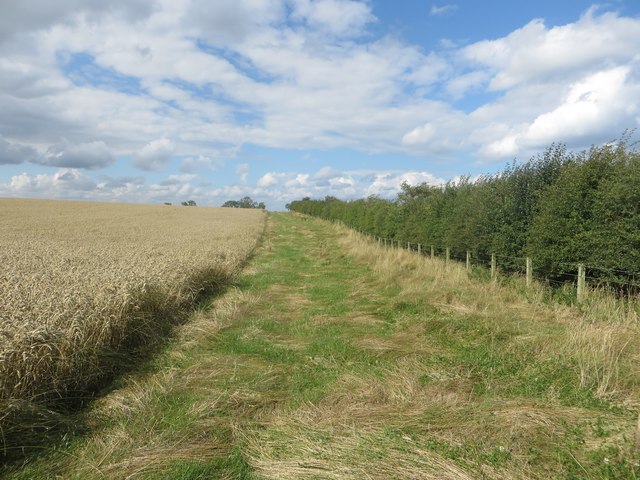 Field edge footpath