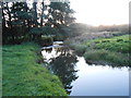 River near Sidford