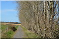 Footpath to Birdham