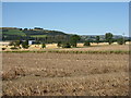 Farmland near St Madoes