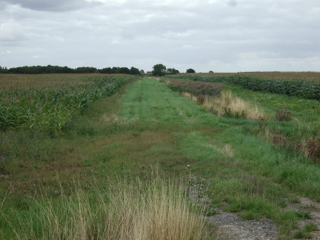 Farm track beside drain