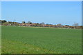 Farmland, Birdham