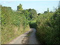 Lane from Lilley Bottom to Frogmore