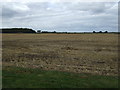 Stubble field, Thorpe Tilney Dales