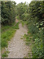 Footpath - Skipton Road