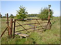 ST7569 : A gate with stile by Neil Owen
