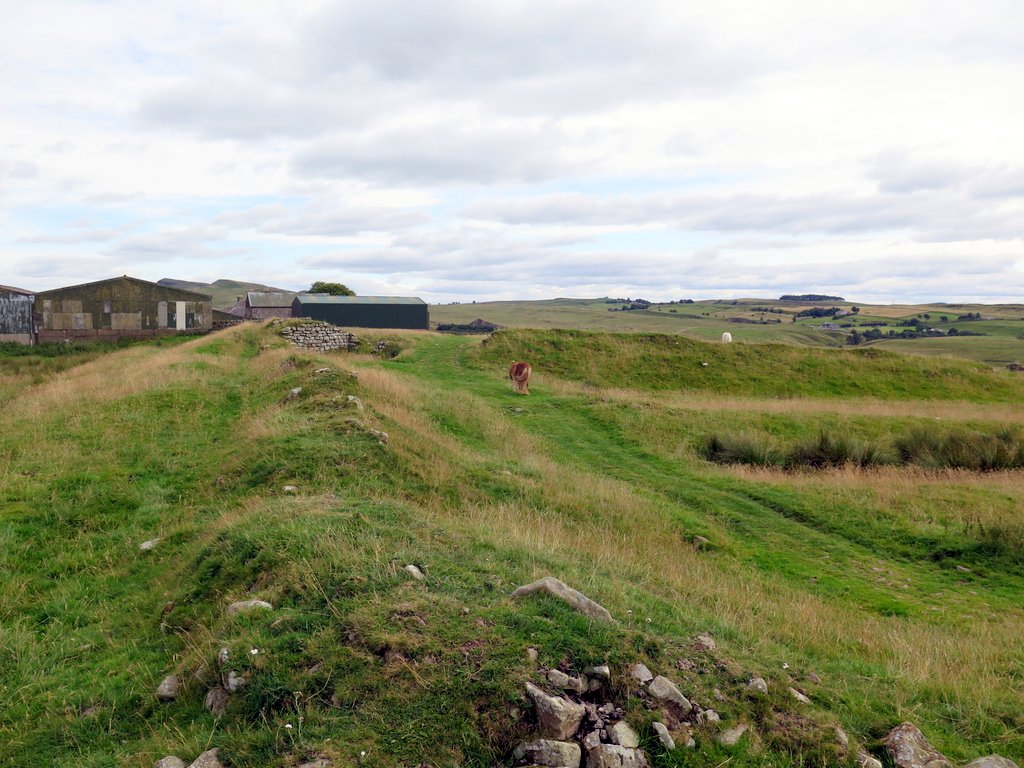 Aesica Roman Fort at Great Chesters © Andrew Curtis :: Geograph Britain ...