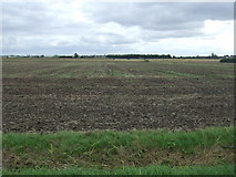 TF1357 : Flat farmland south of Thorpe Tilney Drove by JThomas