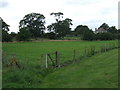 Grazing, Thorpe Tilney 