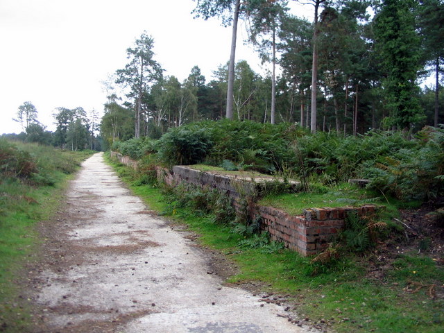 Cycle route, Hawkhill Inclosure