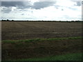 Flat farmland, Digby Fen