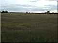 Stubble field off the B1188