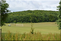 TQ3408 : Sports pitch, Stanmer Park by N Chadwick