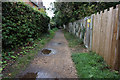 Coastal path on Love Lane, Bembridge