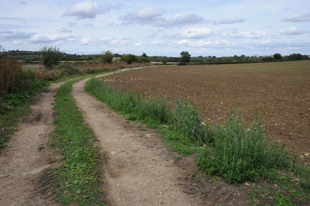 Farmland track