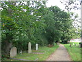 St John the Baptist, Bisley: churchyard (v)