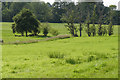 Fields off Wick Hill Lane