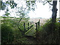 Footbridge and hedgerow