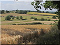 TL9427 : On the Essex Way, View towards Poole's Farm Farm, Colne Valley (close up) by Colin Park