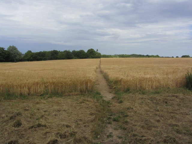 On the Essex Way - Path E from Sky Hall Hill, Boxted