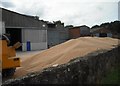 Grain harvest Garth End Farm 2