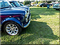 Minis at Classic Car Show, Capel Manor, Enfield