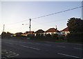 Bungalows on Main Road, Longfield