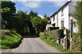 West Somerset : Ash Lane