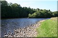 Island in the River Dee