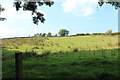 Farmland at Scienteuch