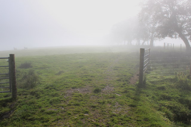 Mist on the Northern Flanks of Longridge Fell