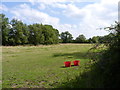 Two red buckets in a field