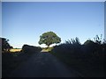 Grove Lane, Whelpley Hill