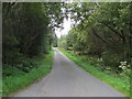 Ffordd trwy Goedwig Glasfryn - Road through Glasfryn forest