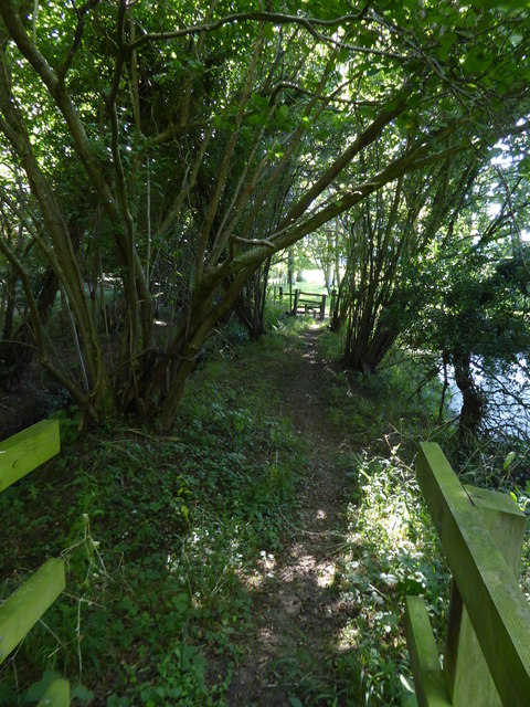Path from footbridge leaving woods