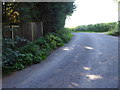 Footpath and access road at Wappingthorn