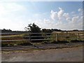 Drainage dike from Glentworth Lane