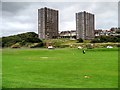 Tower Blocks, "The Cliff", New Brighton