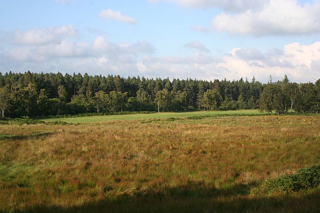 Fields near Netherton