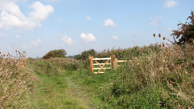 Open gate on the footpath to the River Bure, Upton Marshes