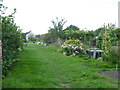 Trencherfield Allotments at Higham Hill