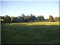 Field by the River Chess, Latimer