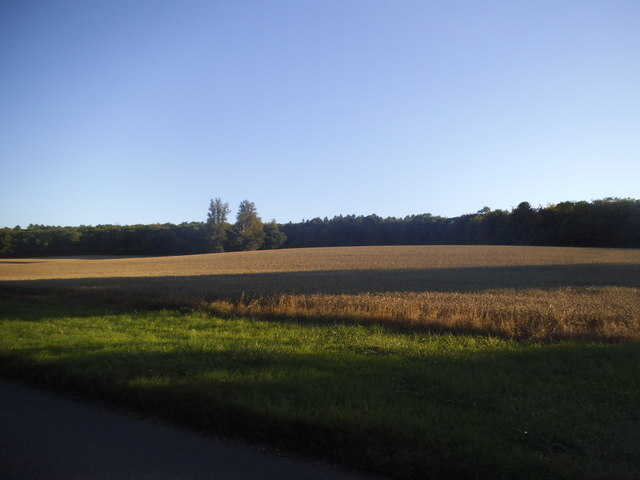 Field by Latimer Road