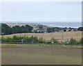 Arable fields on either side of the A92