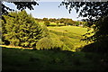 West Somerset : Countryside Scenery