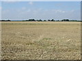 Stubble field west of Brickyard Lane