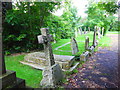 Early morning at Fairlee Road Cemetery (ix)