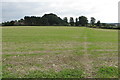 Footpath towards Old Park Farm