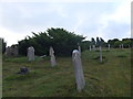 An early morning visit to Carisbrooke Cemetery (iii)